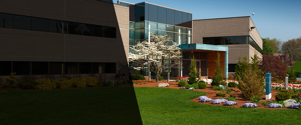 Walton Landscapers