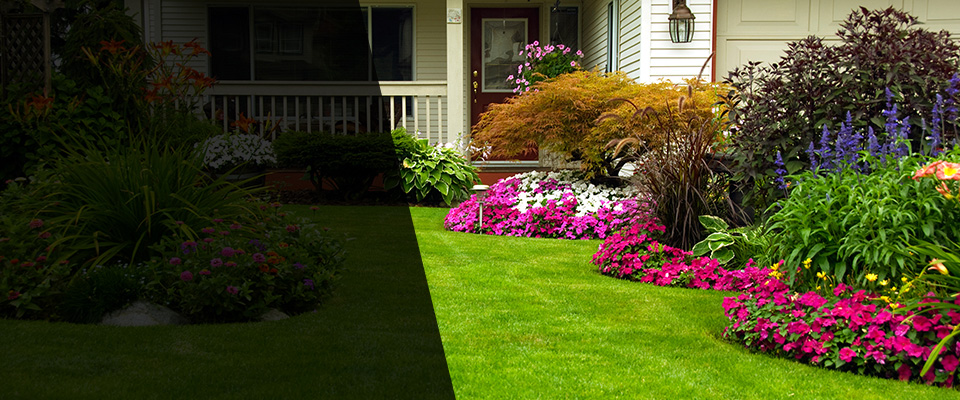 Walton Landscapers