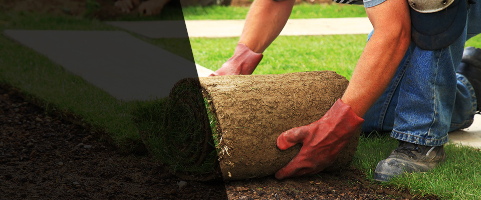 Walton Landscapers